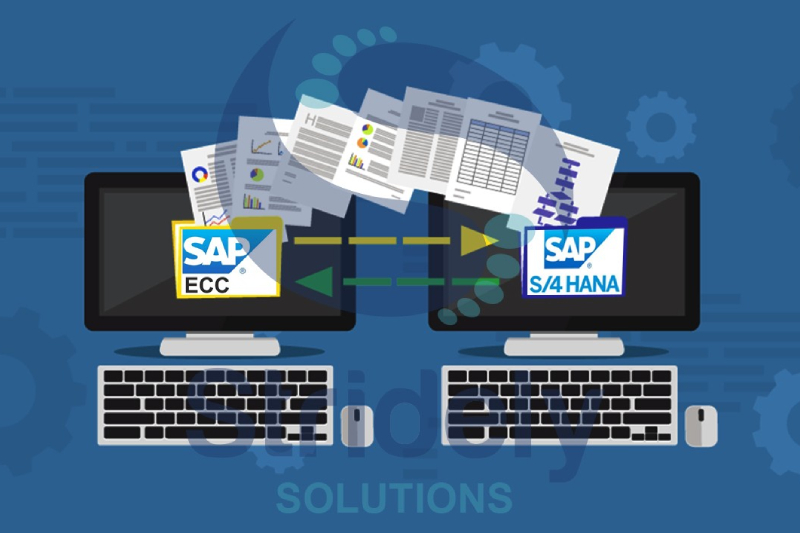 An Image Representing SAP Vs SAP S/4 HANA